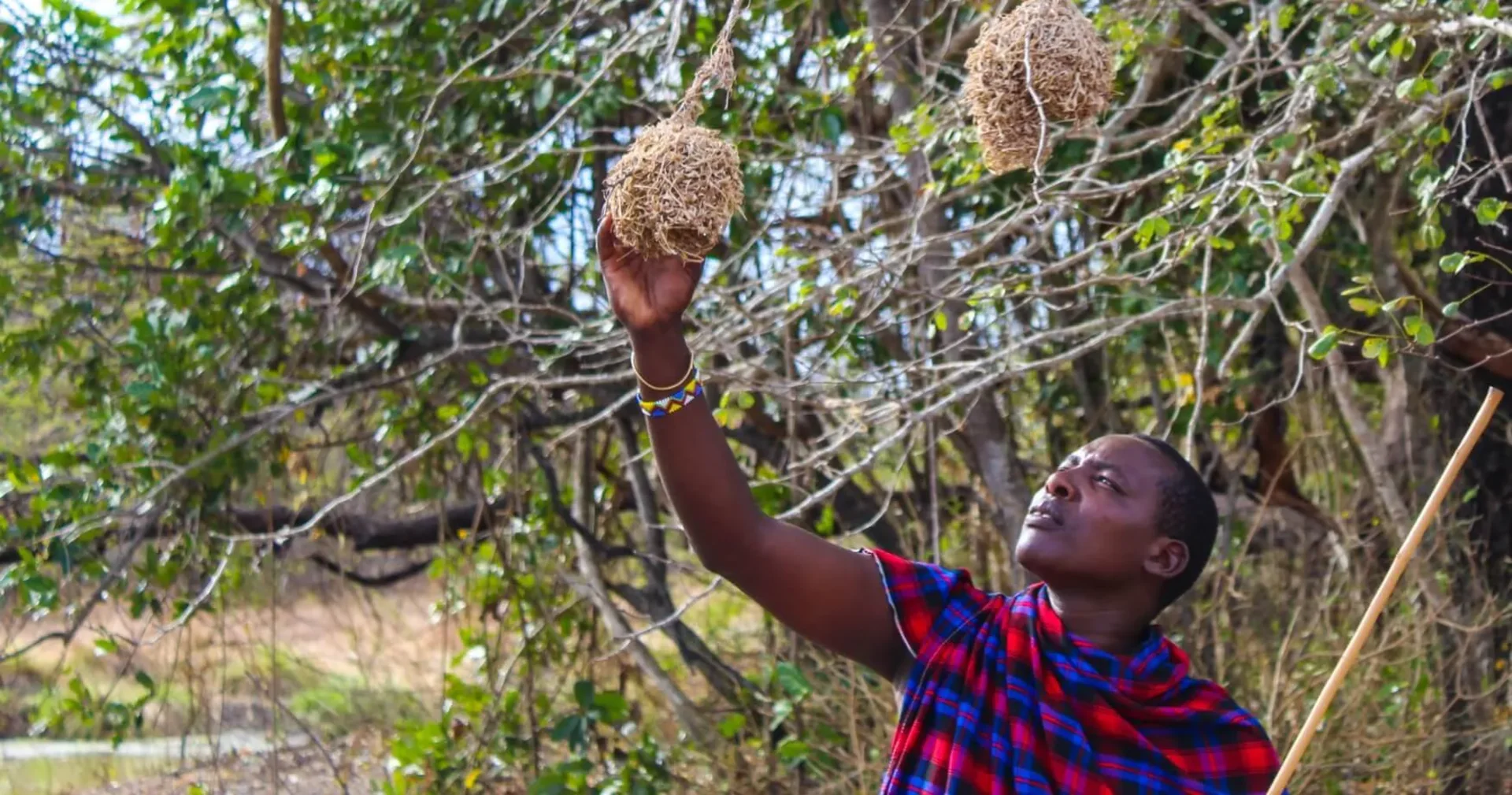 Hero background image