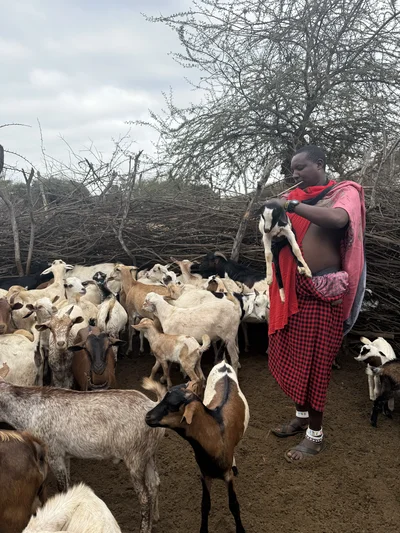 Waarom geven gelukkig maakt