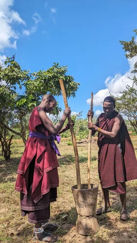 Twee maasai vrouwen bereiden mais