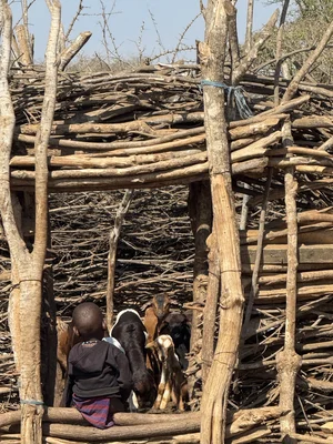 Hoe weet je of een goed doel écht betrouwbaar is?