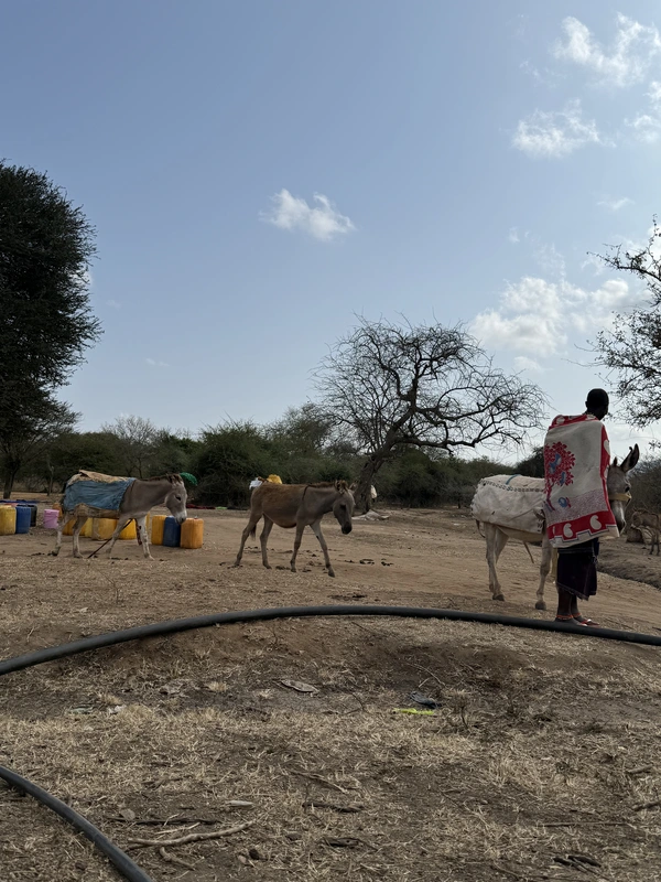 Maasai vrouwen en kinderen verzamelen water met gele jerrycans