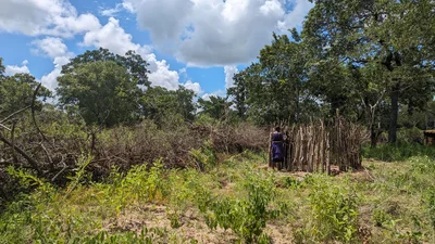 Maasai vrouw in haar dorp
